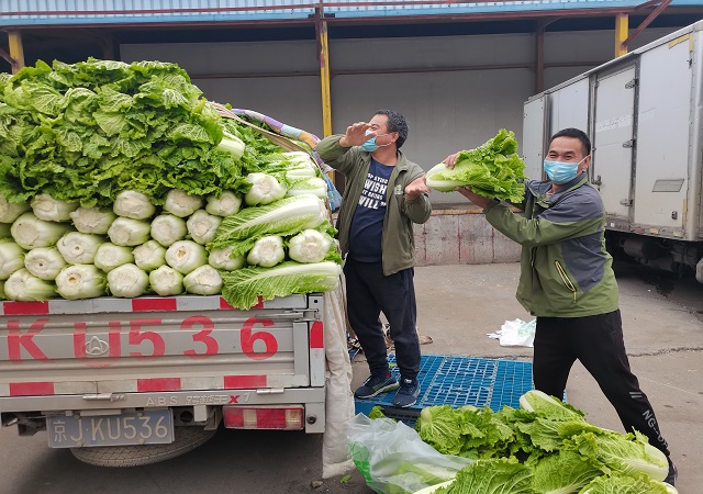 开云(中国)加大“冬储菜”调运，全力做好保供稳价